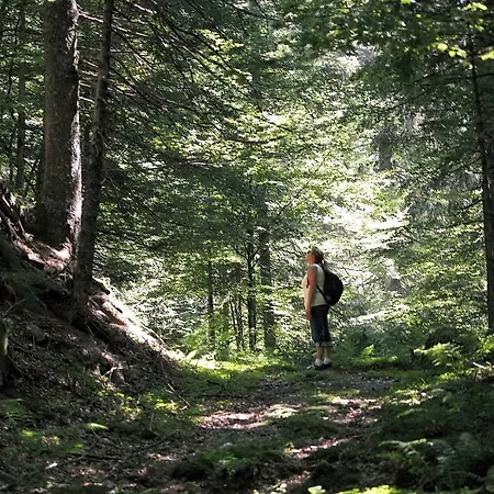 B3 Albmatte-Fewo Sauna, Hallenbad Aussenbecken Massagen Nebenan Menzenschwand-Hinterdorf Buitenkant foto