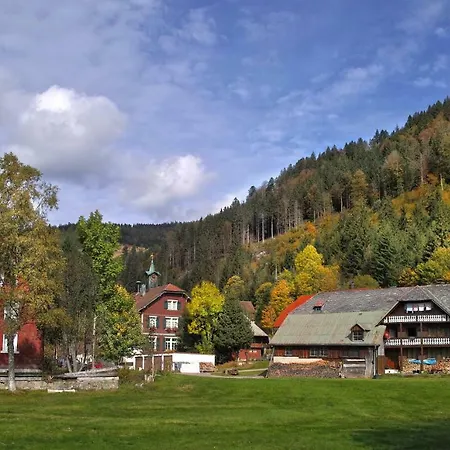 B3 Albmatte-Fewo Sauna, Hallenbad Aussenbecken Massagen Nebenan Menzenschwand-Hinterdorf Buitenkant foto