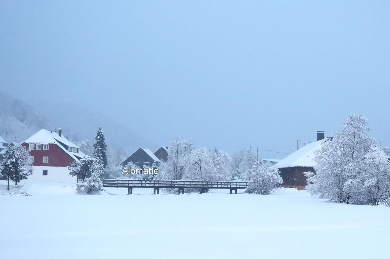 B3 Albmatte-fewo Sauna, Hallenbad Aussenbecken Massagen Nebenan Appartement *