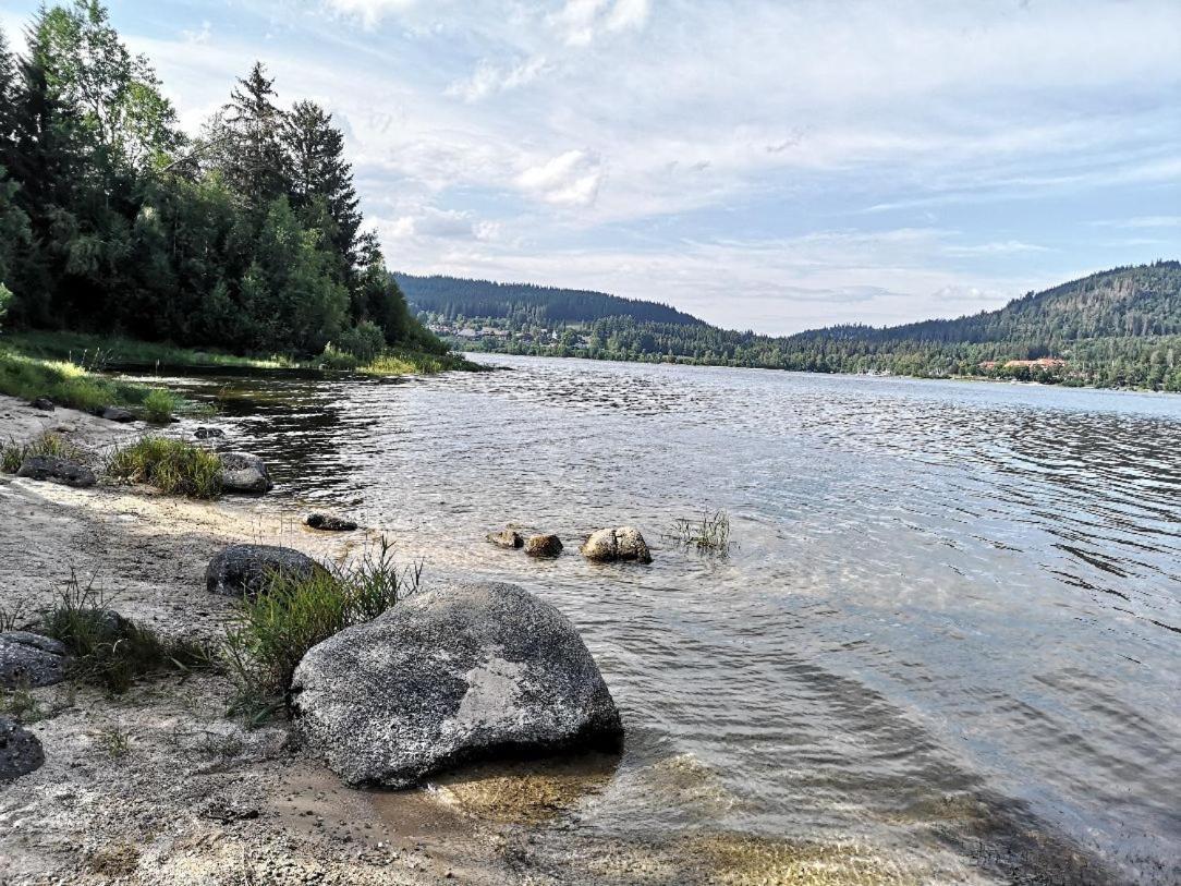 B3 Albmatte-fewo Sauna, Hallenbad Aussenbecken Massagen Nebenan * Menzenschwand-Hinterdorf