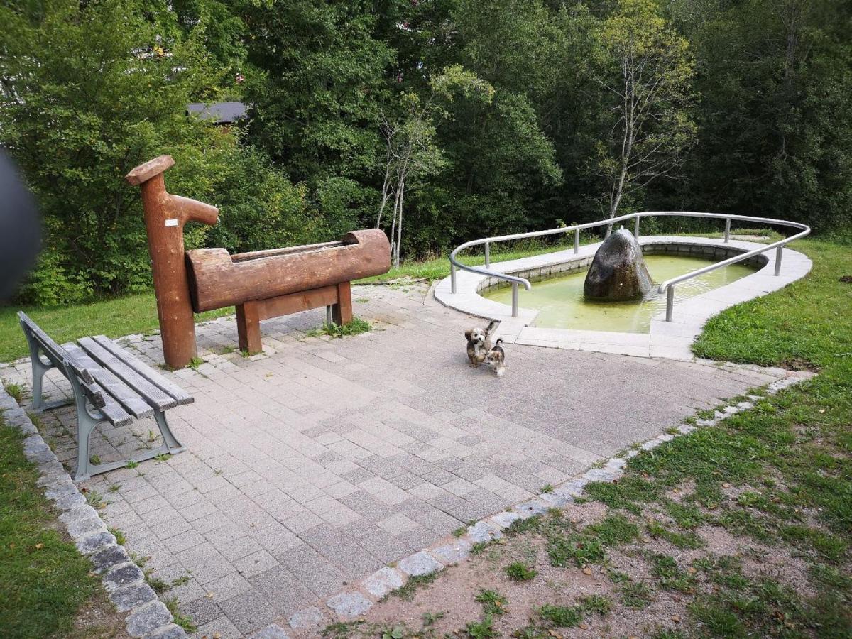 B3 Albmatte-fewo Sauna, Hallenbad Aussenbecken Massagen Nebenan * Menzenschwand-Hinterdorf