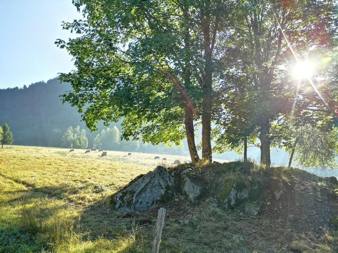 B3 Albmatte-fewo Sauna, Hallenbad Aussenbecken Massagen Nebenan