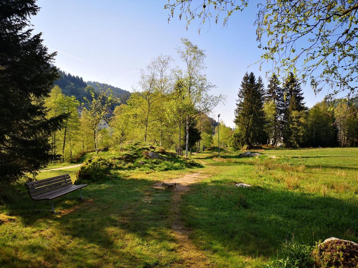 B3 Albmatte-fewo Sauna, Hallenbad Aussenbecken Massagen Nebenan Appartement