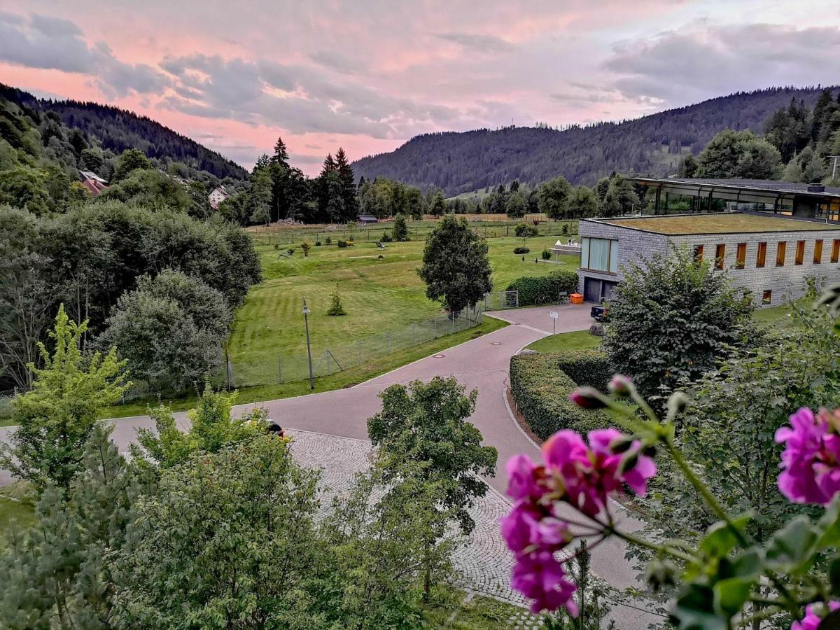 Appartement B3 Albmatte-fewo Sauna, Hallenbad Aussenbecken Massagen Nebenan *